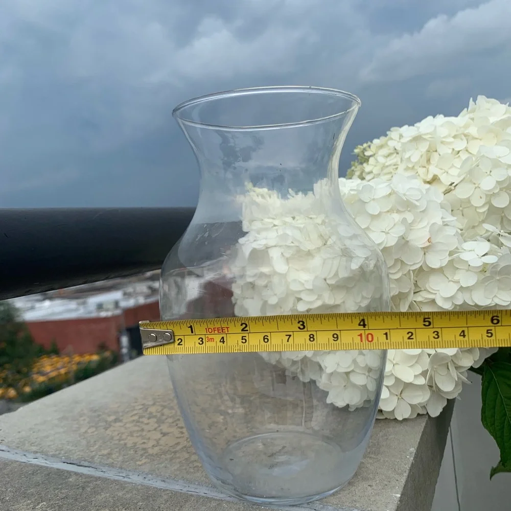 2in1 Glass See Through Floral Vase or Lemonade Water Pitcher